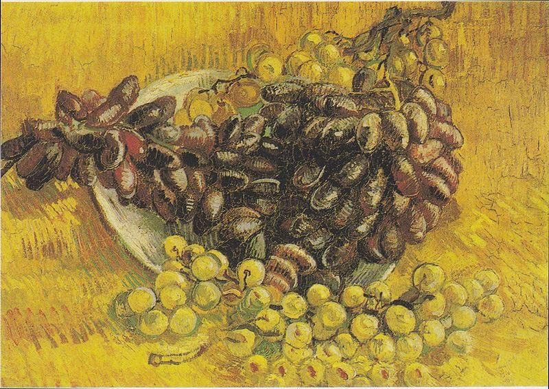  Still Life with Grapes